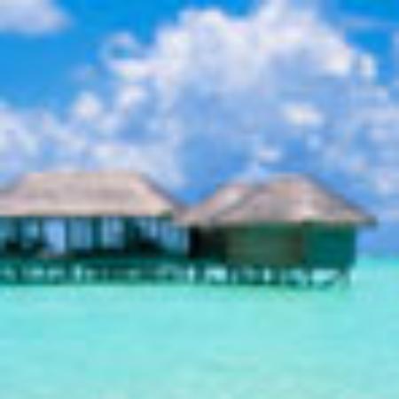 Nightfly Shisha- und Cocktailbar